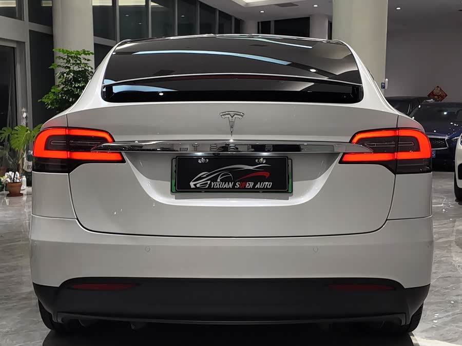 特斯拉 Model X 2020 汽车图片 #7