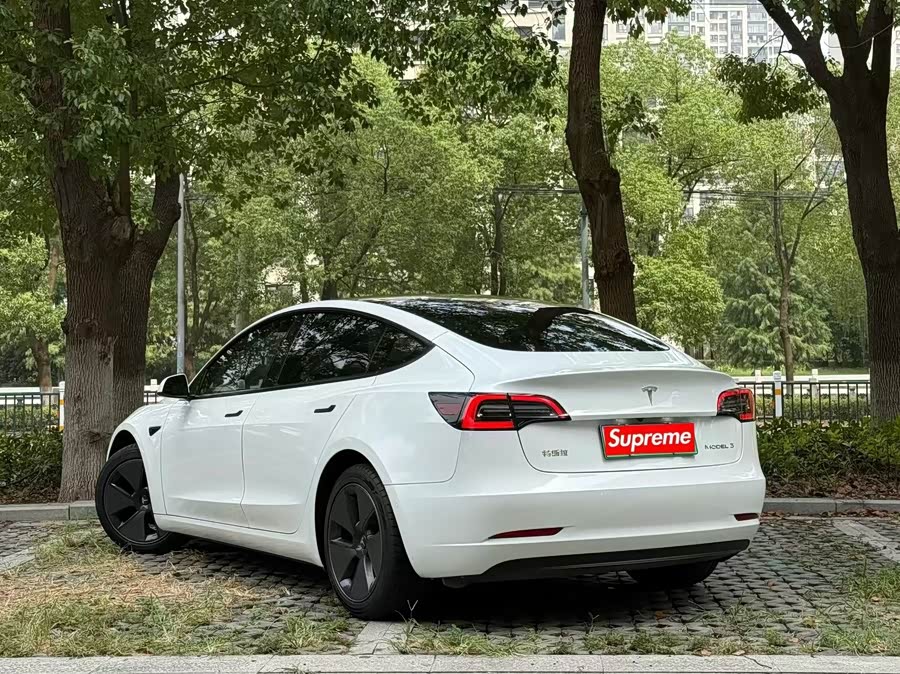 特斯拉 Model 3 2021 汽车图片 #7