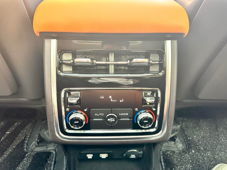 Tank 500 2022 imagen de coche #7