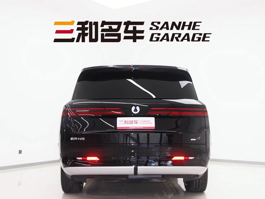 Denza N9 2025 car image #7