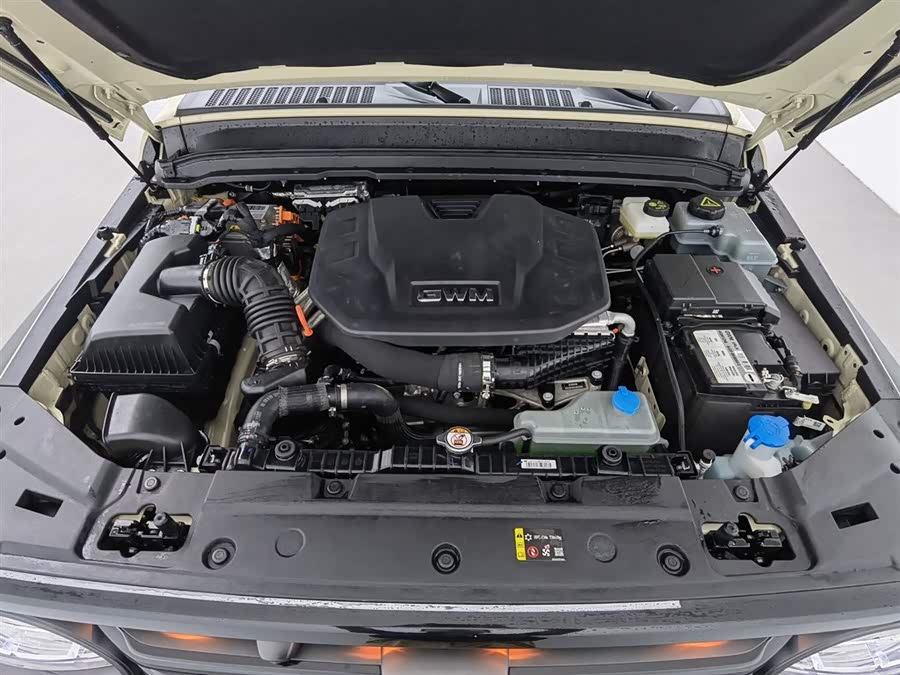 Tank 300 New Energy 2025 #7 Tank 300 New Energy 2025 car image #7