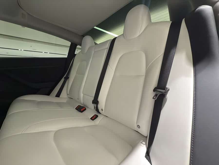 Tesla Model 3 2021 #7 Tesla Model 3 2021 صورة سيارة #7