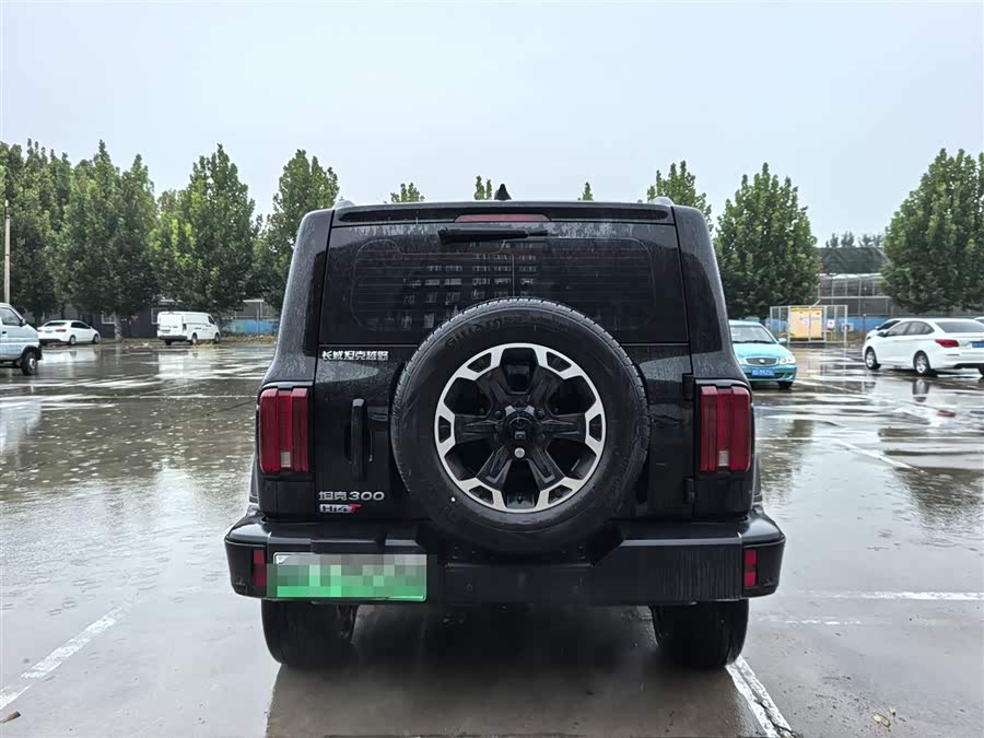 Tank 300 New Energy 2025 car image #7