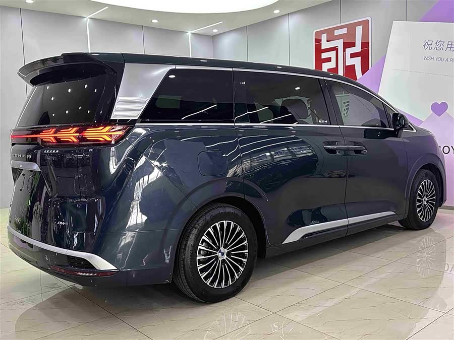 Denza D9 2023 imagem de carro #7