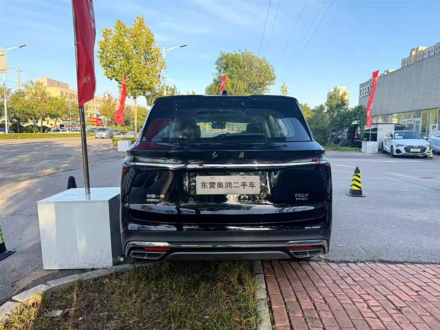 HongQi HS7 PHEV 2024 #7 HongQi HS7 PHEV 2024 car image #7
