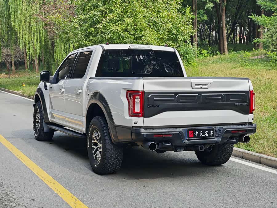 Ford F-150 Raptor 2018 car image #7