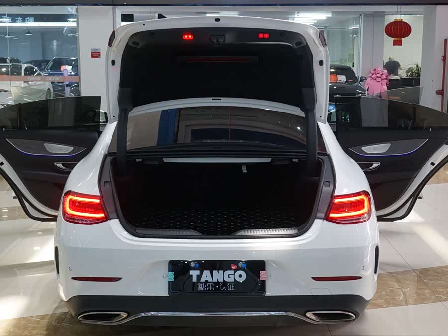 Mercedes-Benz CLS Class 2019 immagine di auto #7