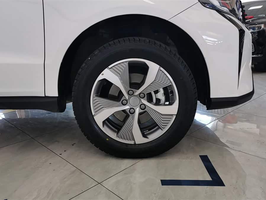 GEELY OkavangoPRO 2024 immagine di auto #7