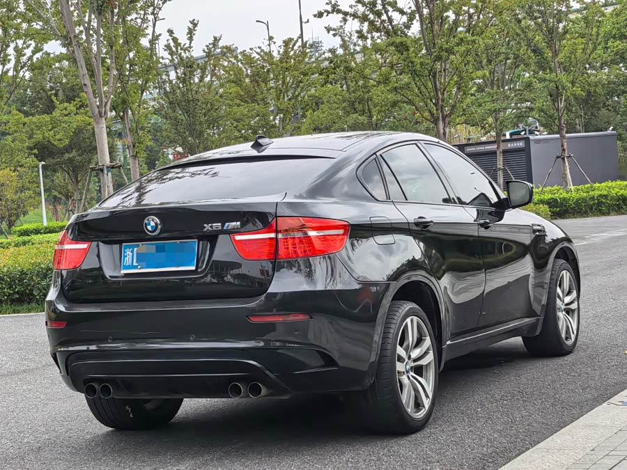 BMW X6 M 2011 car image #7