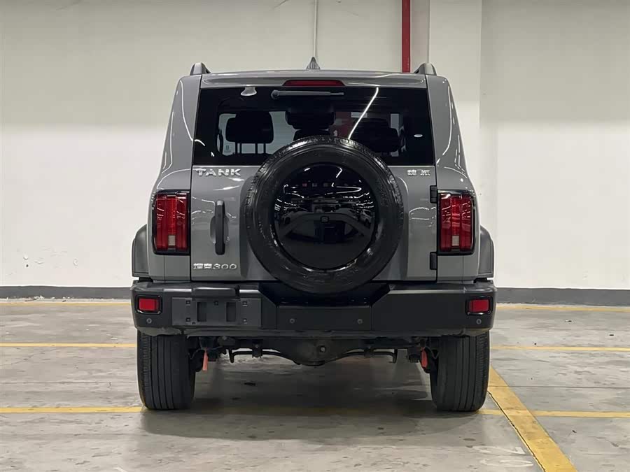 Tank 300 2021 car image #7