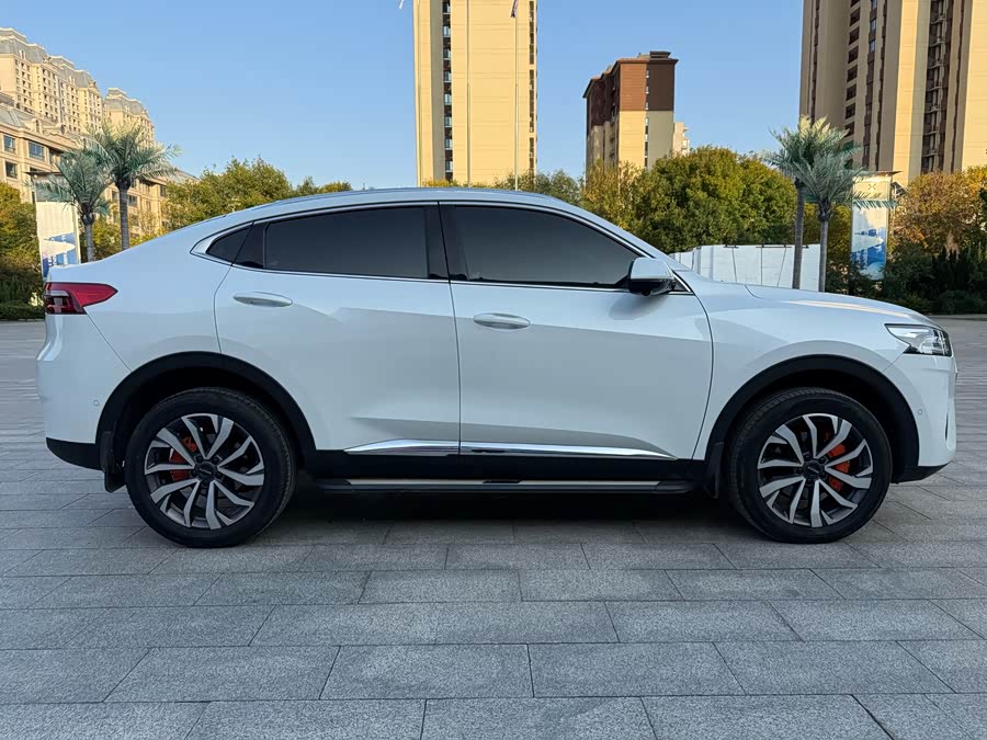 哈弗 哈弗F7x 2021 汽车图片 #7