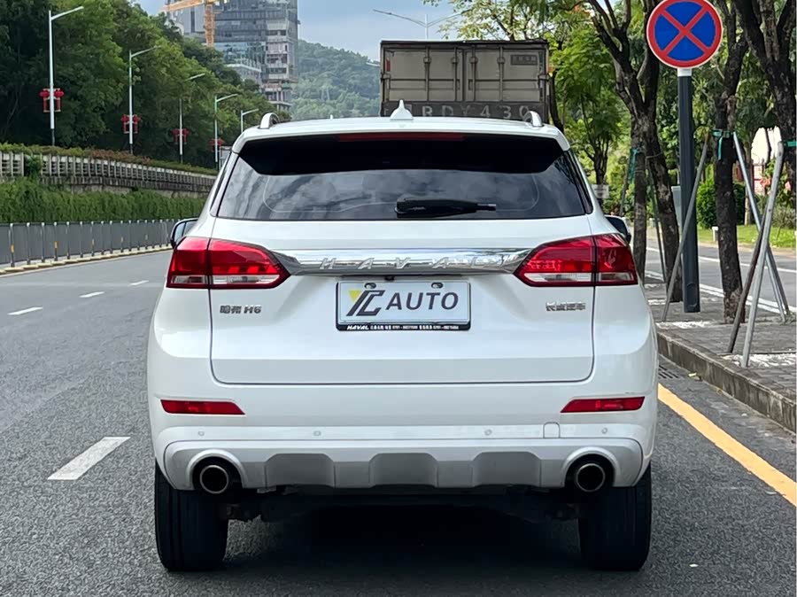 Haval H6 Coupe 2019 #7 Haval H6 Coupe 2019 car image #7