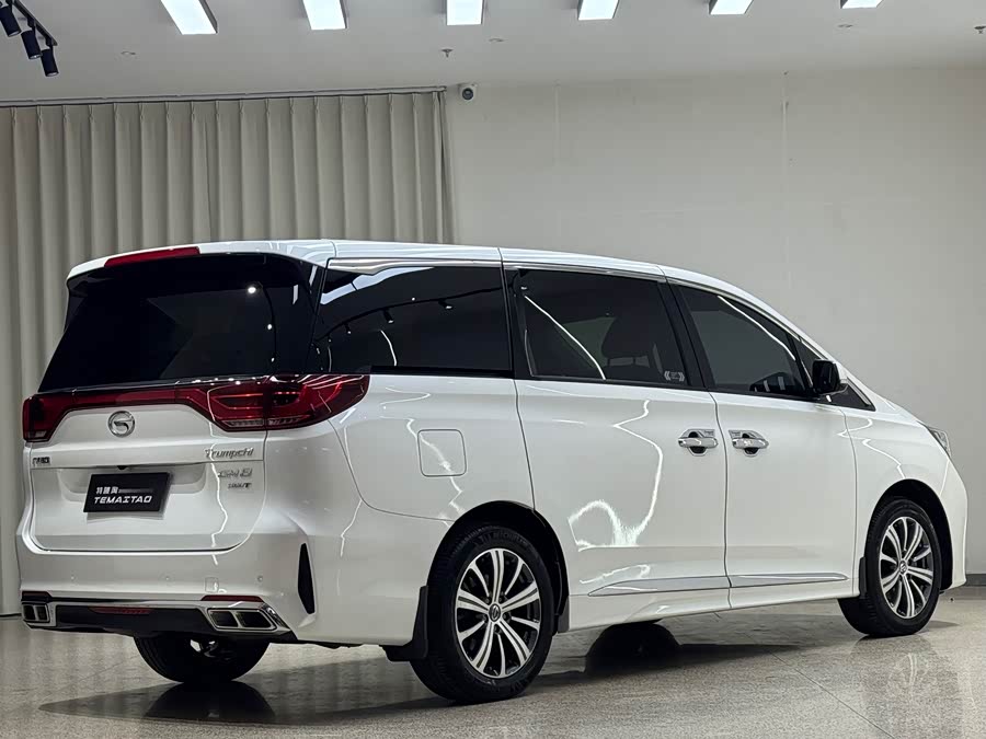 GAC Trumpchi M8 2020 #7 GAC Trumpchi M8 2020 car image #7