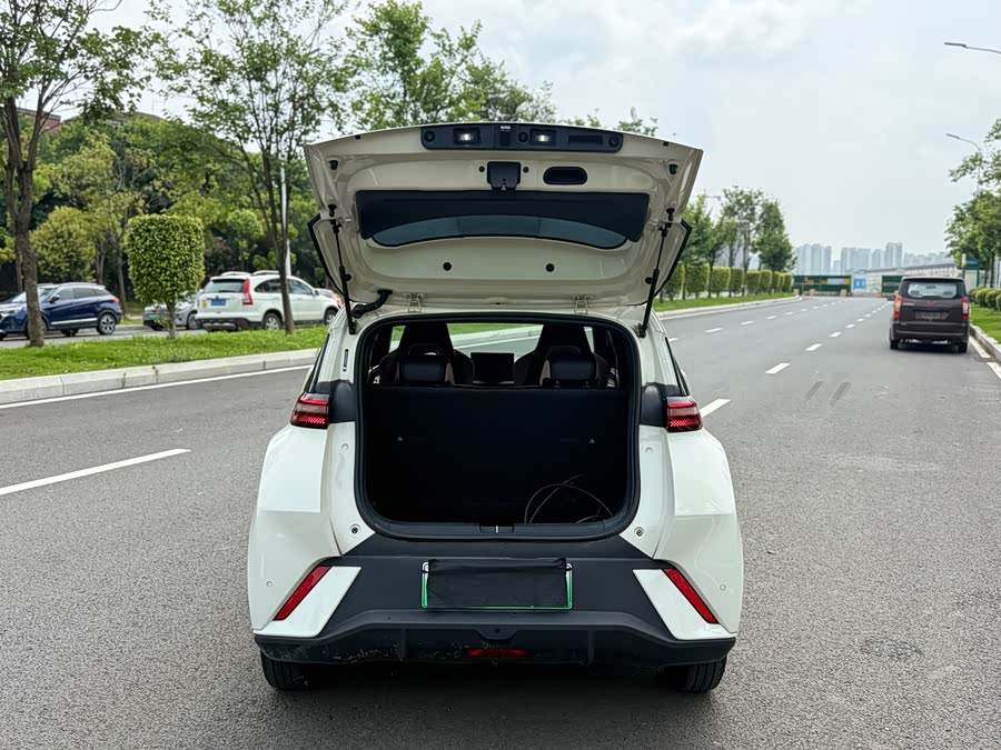 BYD Seagull 2024 car image #7