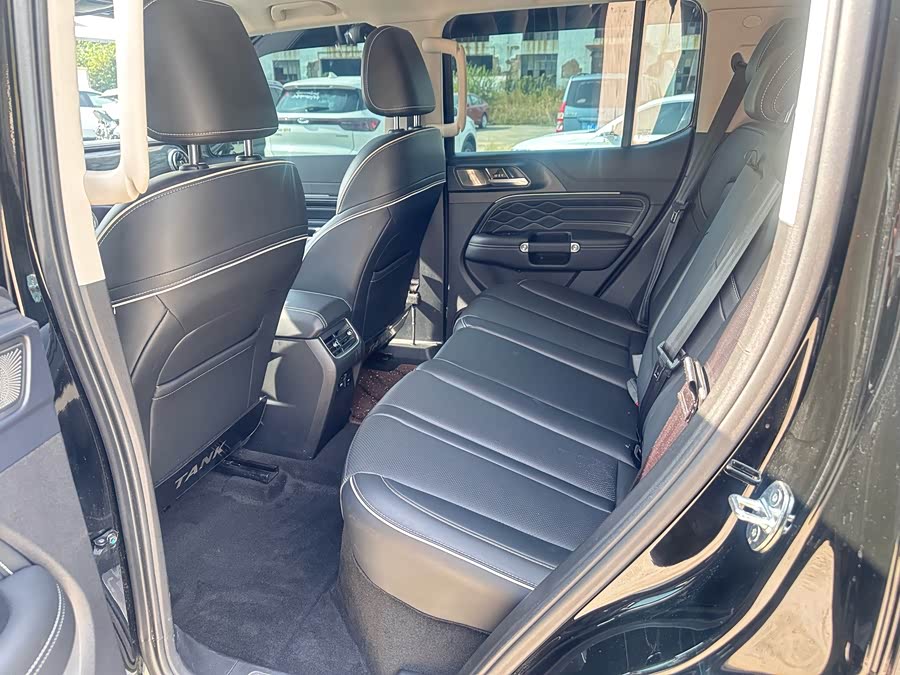 Tank 300 New Energy 2024 car image #7