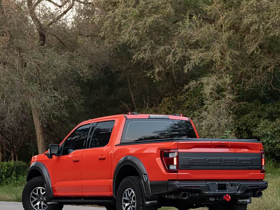 Ford F-150 Raptor 2023 car image #7