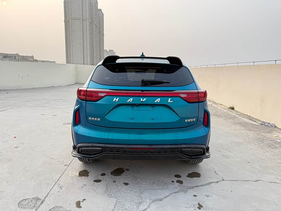 Haval Rabbit 2021 imagen de coche #7