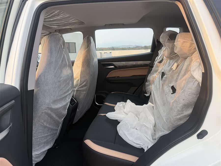 GEELY OkavangoPRO 2025 immagine di auto #7