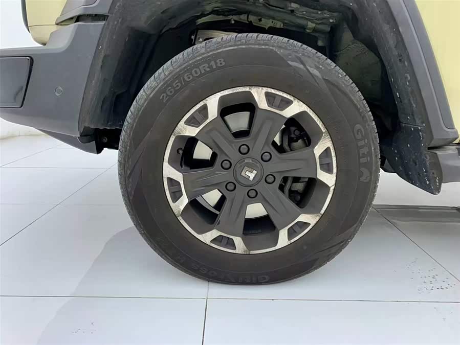 Tank 300 New Energy 2025 car image #7