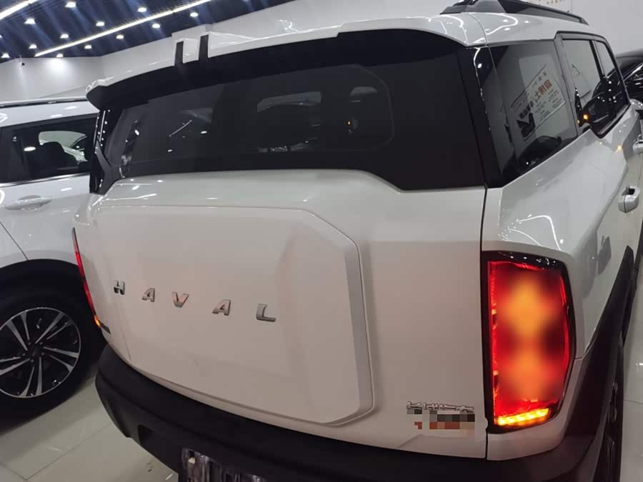 Haval Dargo 2023 car image #7