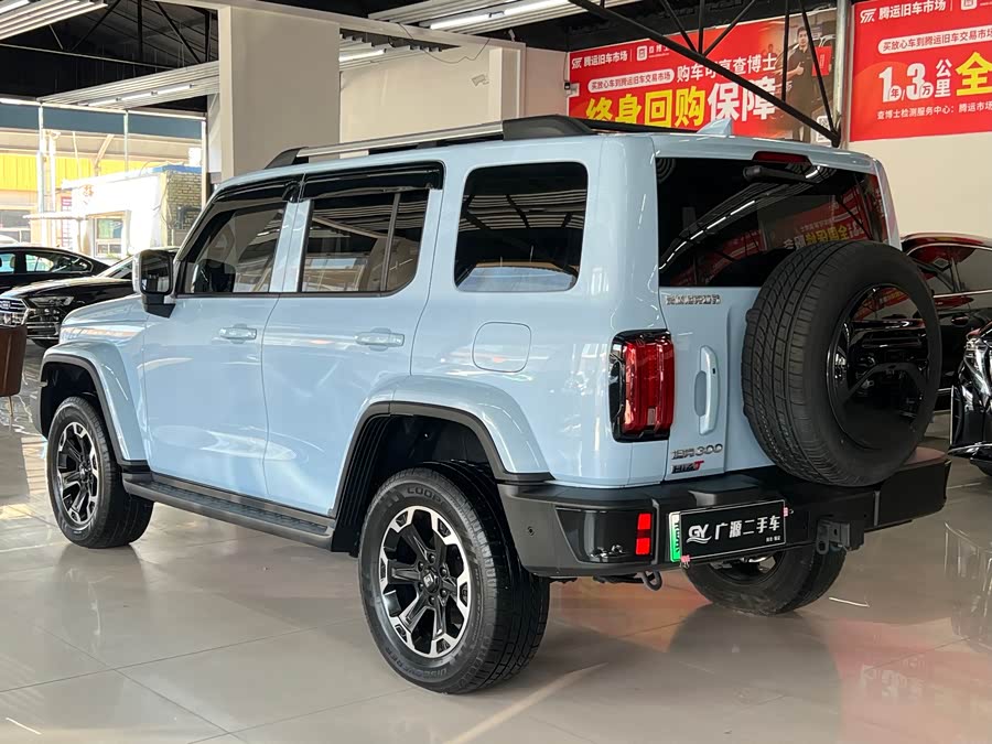 Tank 300 New Energy 2024 car image #7