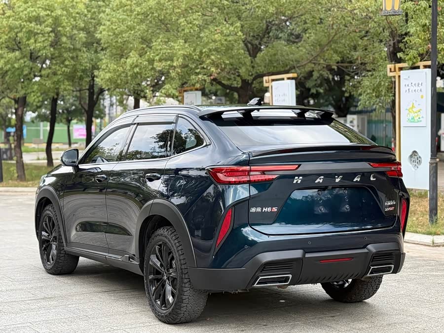 Haval H6S 2022 car image #7