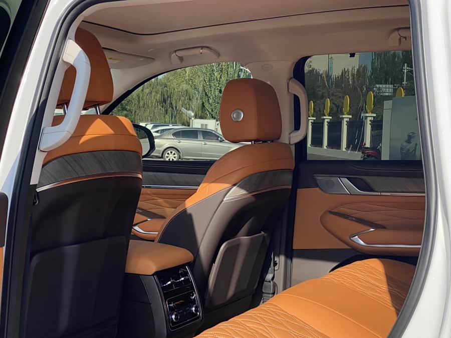 Tank 500 New Energy 2024 #7 Tank 500 New Energy 2024 immagine di auto #7