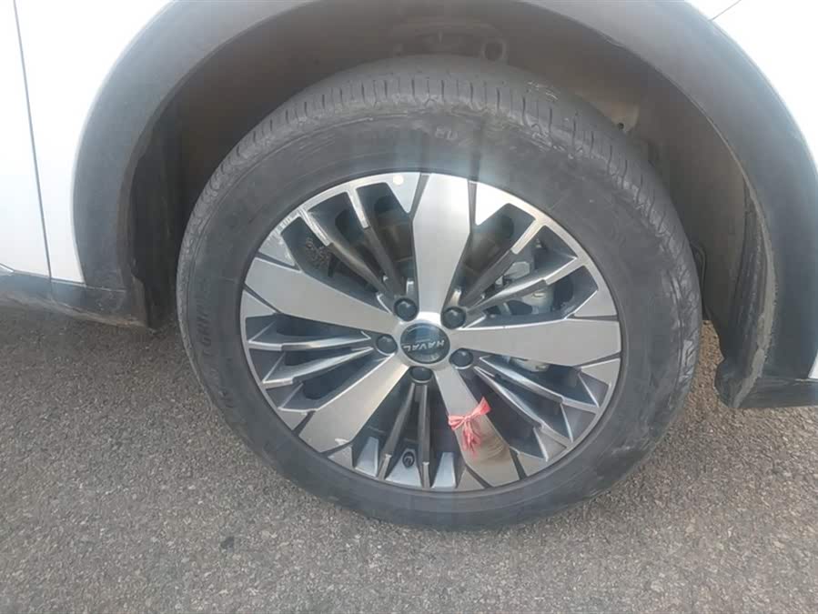 Haval F7x 2021 immagine di auto #7