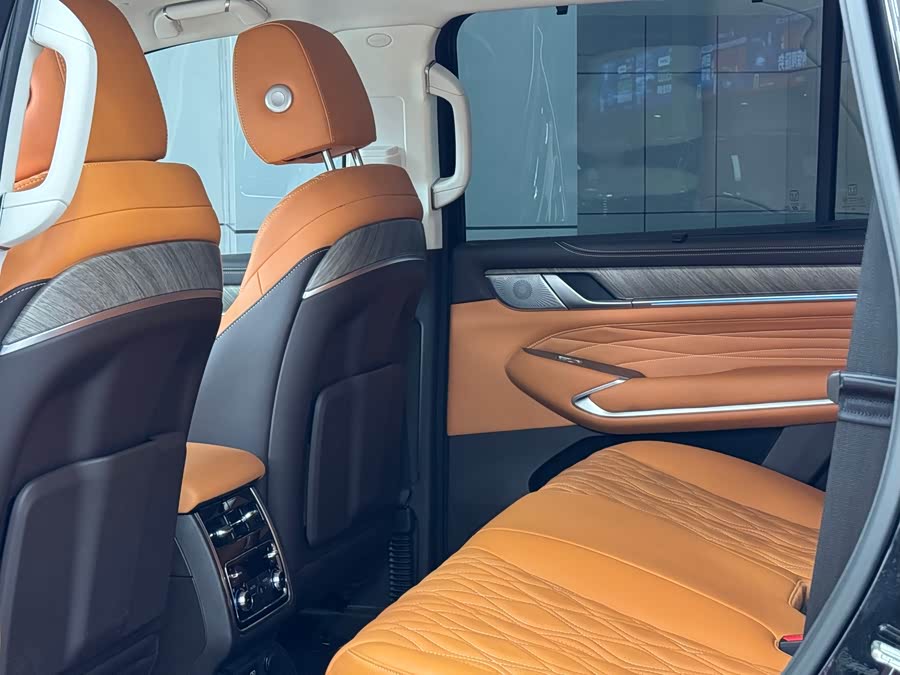 Tank 500 New Energy 2024 #7 Tank 500 New Energy 2024 car image #7