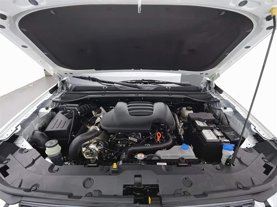 Great Wall Jingang Pao 2023 immagine di auto #7