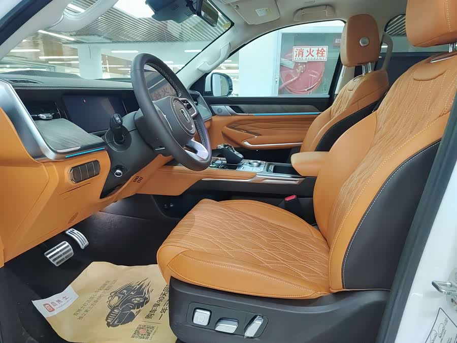 Tank 500 New Energy 2024 #7 Tank 500 New Energy 2024 car image #7