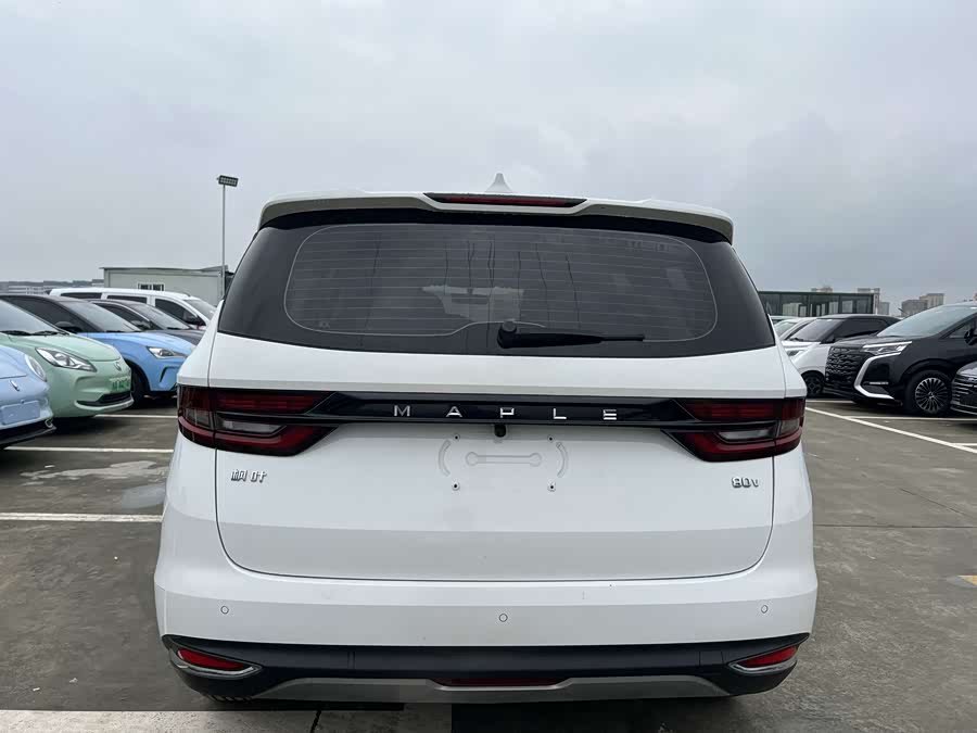 睿蓝汽车 枫叶80v 2021 汽车图片 #7