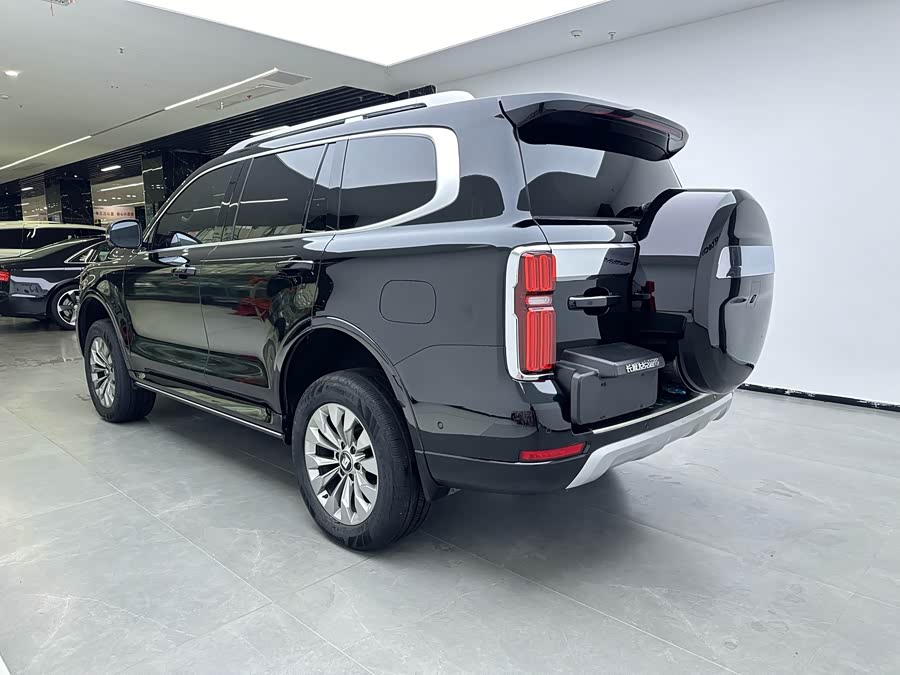 Tank 500 New Energy 2025 immagine di auto #7