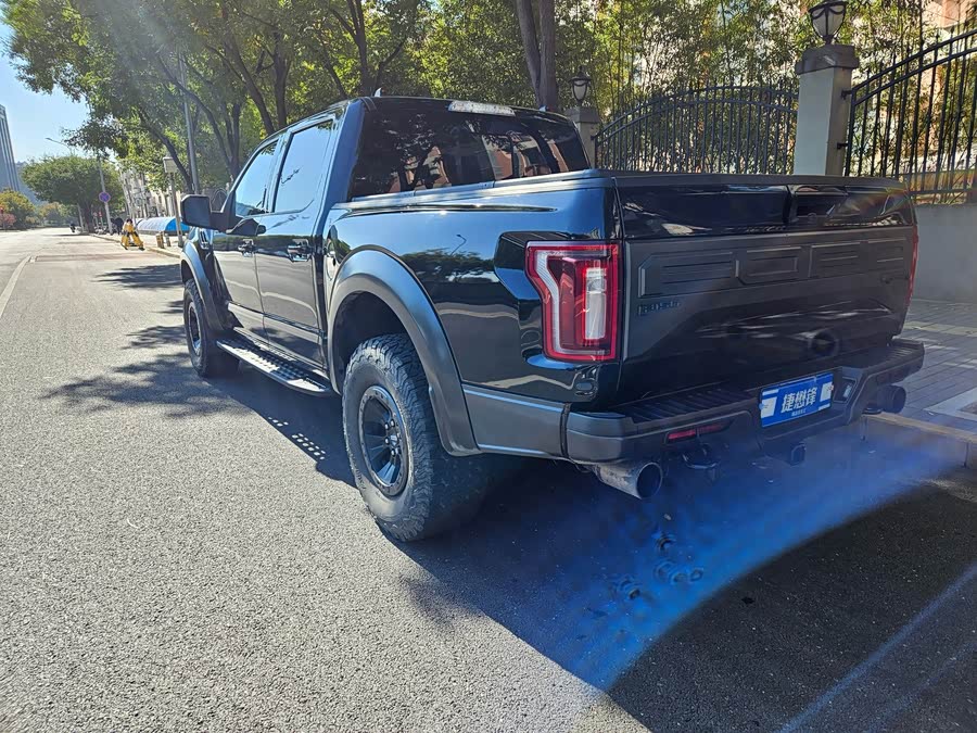 Ford F-150 Raptor 2018 car image #7