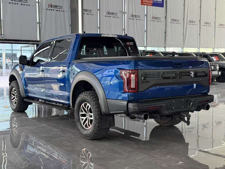 Ford F-150 Raptor 2018 car image #7