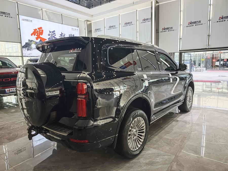 Tank 500 New Energy 2023 car image #7