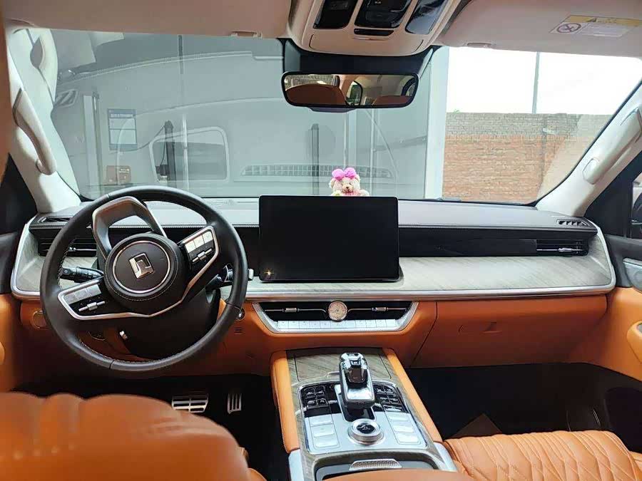 Tank 500 New Energy 2023 car image #7