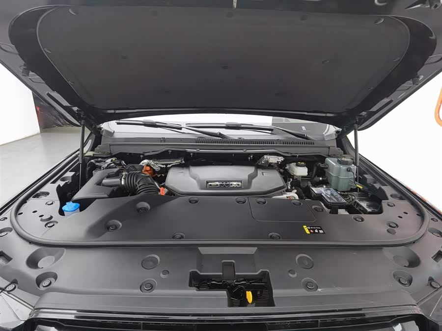 Tank 500 New Energy 2025 immagine di auto #7