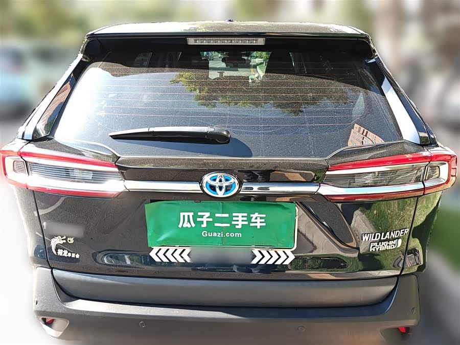 Toyota Wildlander New Energy 2021 immagine di auto #7