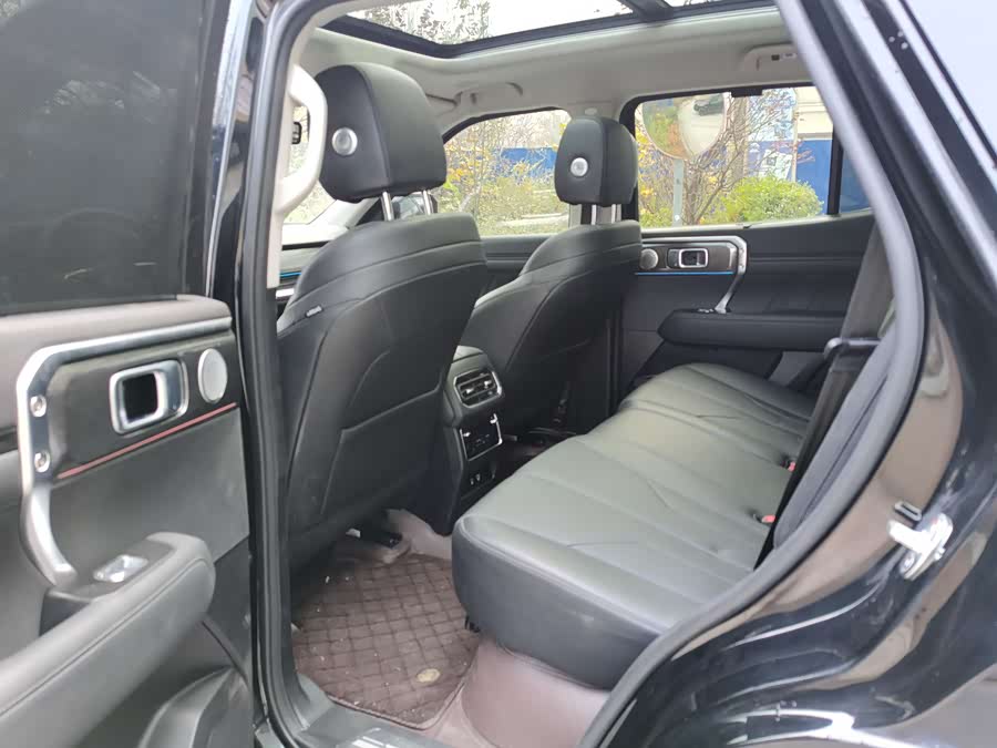 Tank 400 New Energy 2024 car image #7