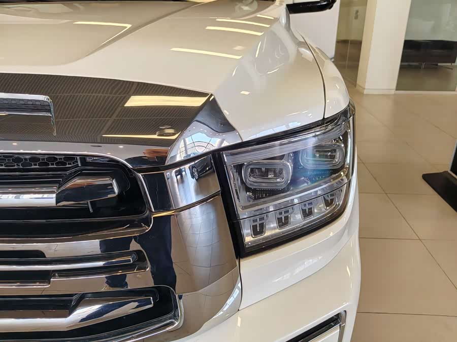 Tank 500 New Energy 2024 immagine di auto #7