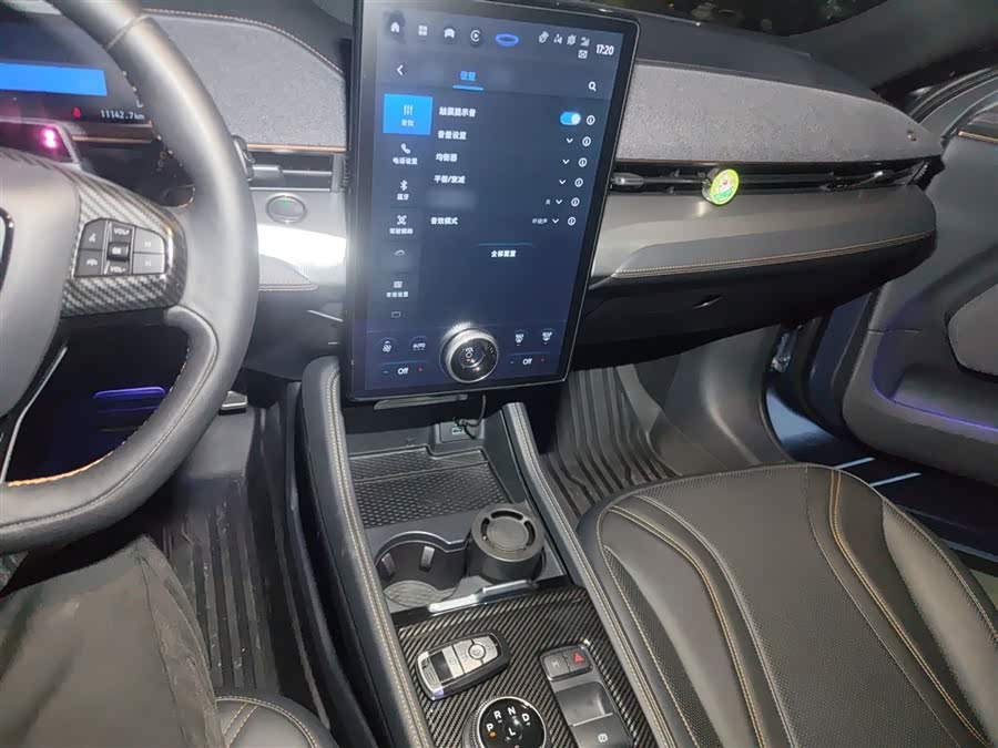 Ford Mustang Mach-E 2022 car image #7