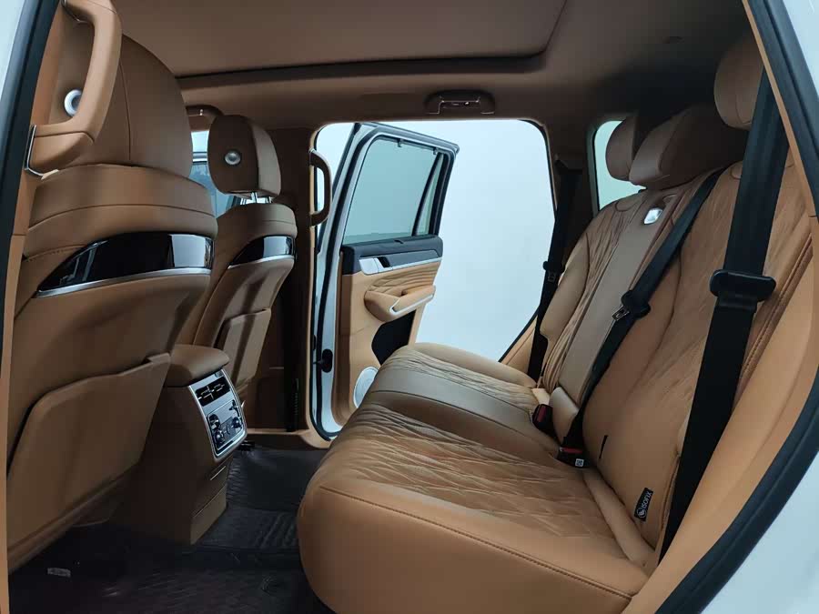 Tank 500 New Energy 2024 car image #7