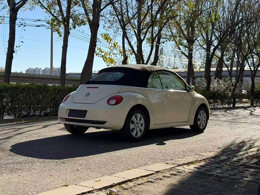 Volkswagen Beetle 2010 immagine di auto #7