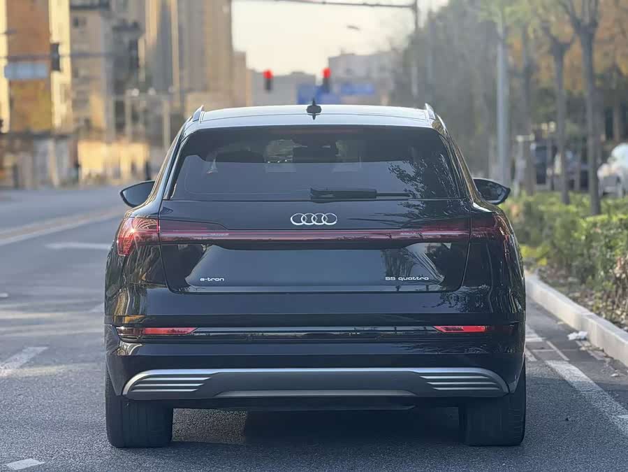 Audi e-tron (Imported) 2022 car image #7