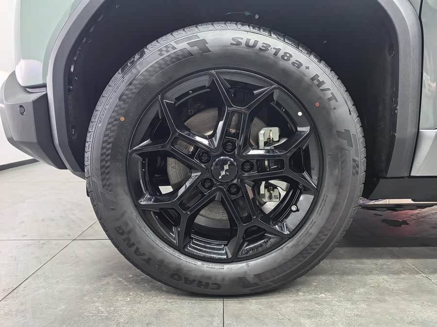 FangChengBao Tiger 3 2025 #7 FangChengBao Tiger 3 2025 car image #7