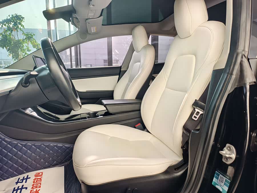 特斯拉 Model 3(进口) 2019 汽车图片 #7