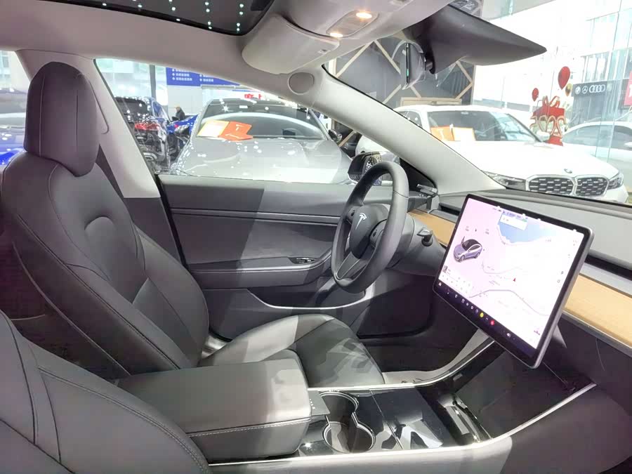 Tesla Model 3 2020 car image #7