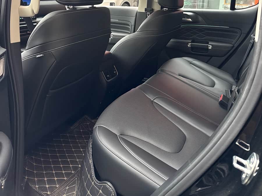 Tank 300 New Energy 2025 car image #7