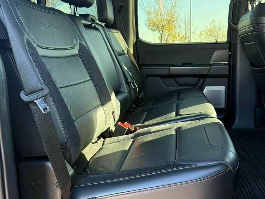 Ford F-150 Raptor 2024 car image #7